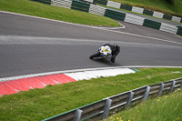 cadwell-no-limits-trackday;cadwell-park;cadwell-park-photographs;cadwell-trackday-photographs;enduro-digital-images;event-digital-images;eventdigitalimages;no-limits-trackdays;peter-wileman-photography;racing-digital-images;trackday-digital-images;trackday-photos